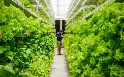 Technologies Poised to Change Food and The Planet